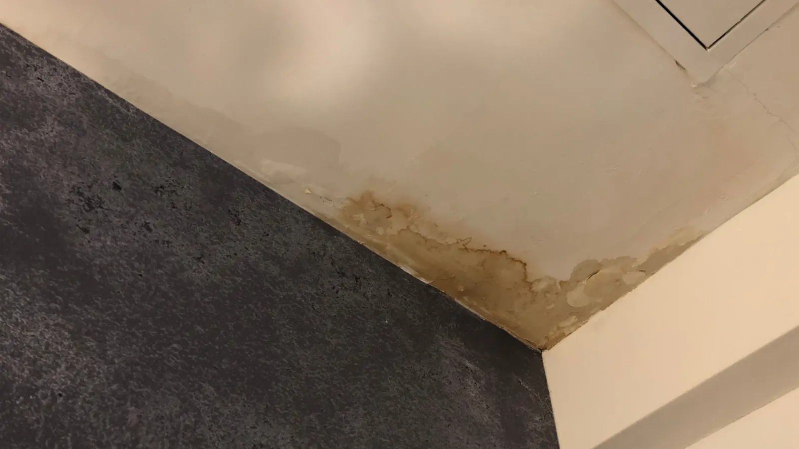 Trace d’humidité brunâtre dans l’angle d’un plafond, signe d’une infiltration d’eau